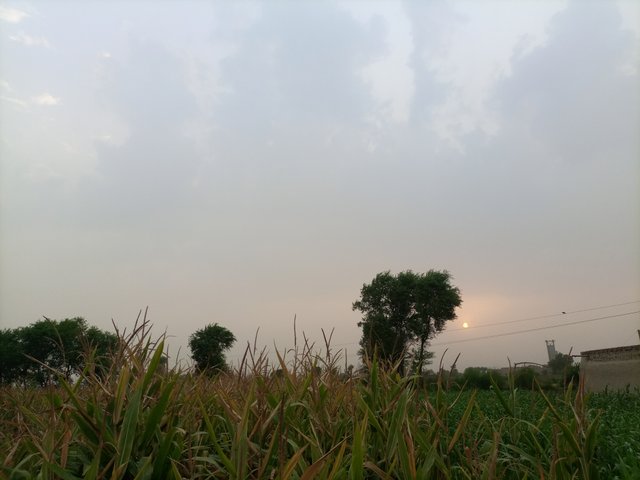IMG_20250623_183753_697.jpg