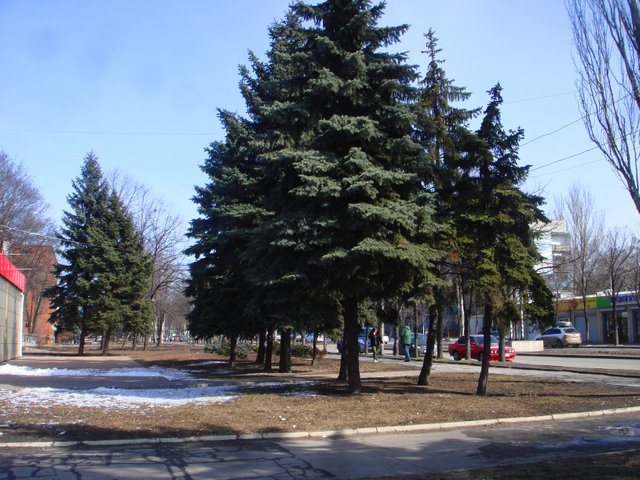 DSC00294.JPG