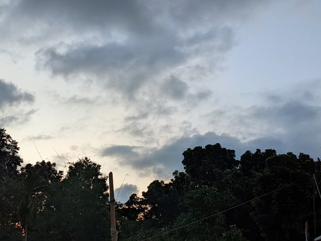 1000051196.jpg