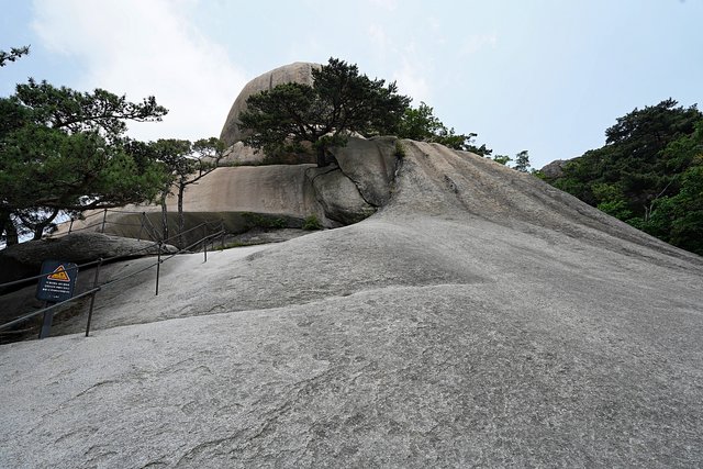 b-DSC02505.JPG