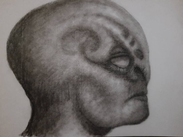 20250620_110323.jpg