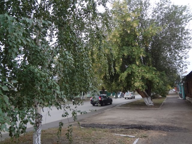 5.JPG