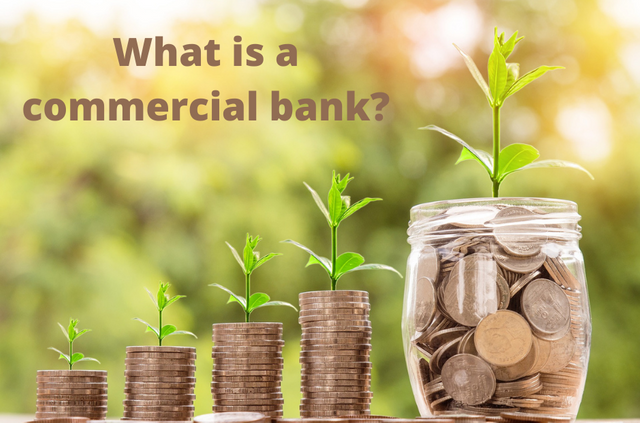 What is a commercial bank.png