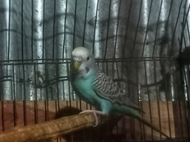 IMG20250422205404.jpg