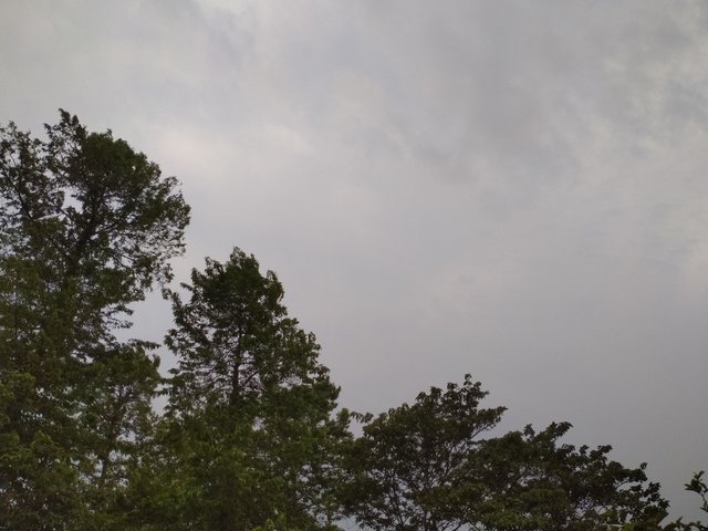 IMG20230424172648.jpg