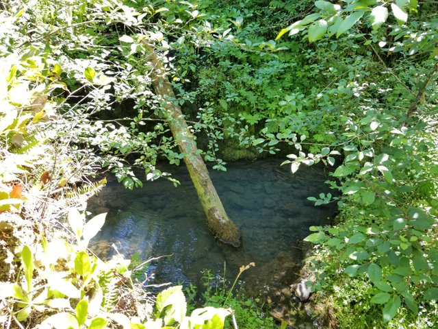 hidden pool from above.jpg