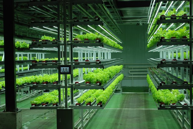 Vertical farming Mongolia 2015.JPG