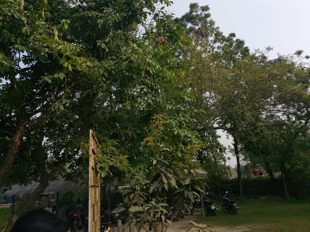 1000040983.jpg