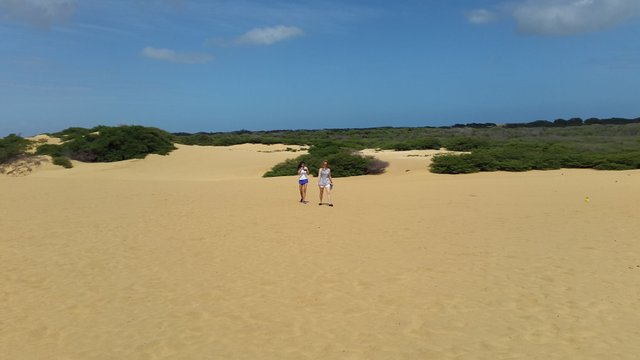 medanos.jpg