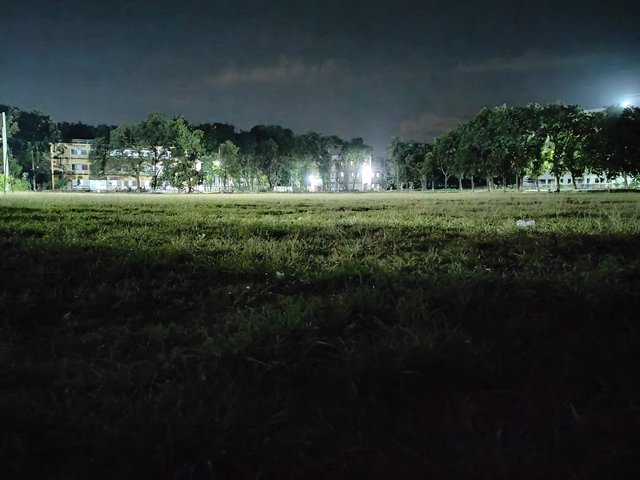 4553.jpg