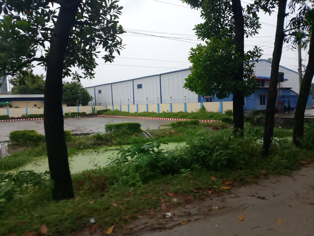 1000045000.jpg