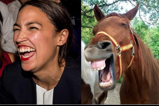 AOC DOnkey 01e41da9322bf695900c492bbebc4b8c7bbc13a7.jpeg