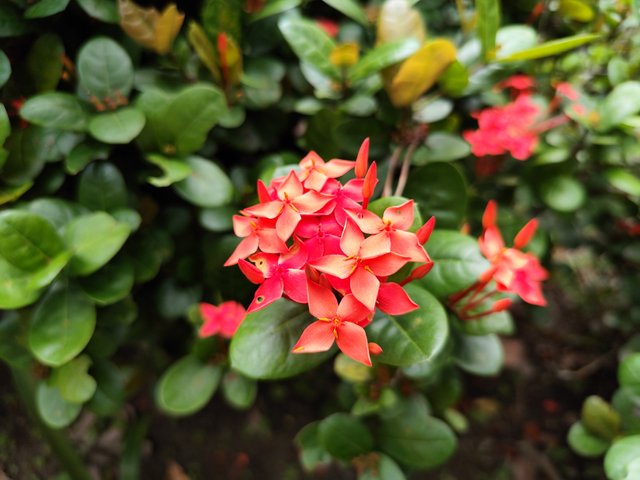 IMG_20250714_173047.jpg