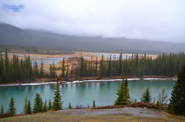 bow valley parkway.jpg