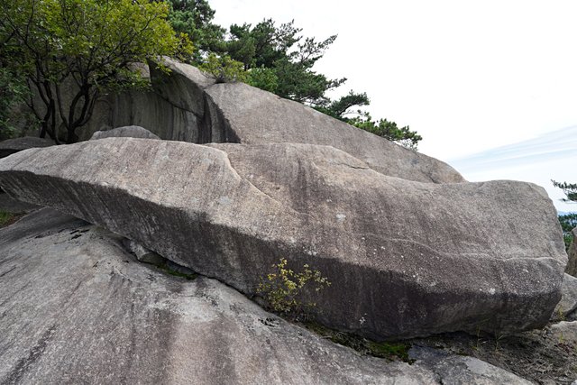 b-DSC02696.JPG