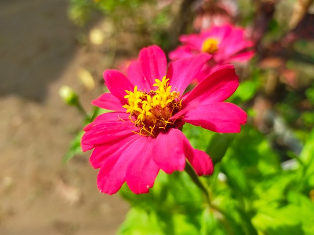 IMG20231206142410.jpg