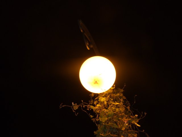 DSCF5560.JPG