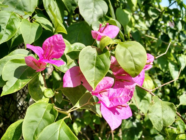 IMG_20161027_090050834_HDR.jpg