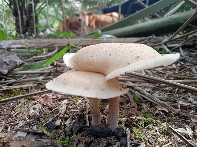 IMG20220713102232.jpg