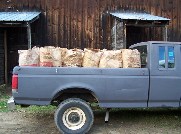 Truckload of leaves crop November 2019.jpg