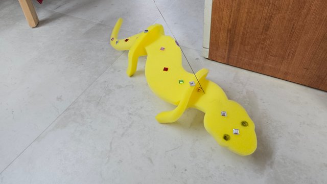 1000123404.jpg
