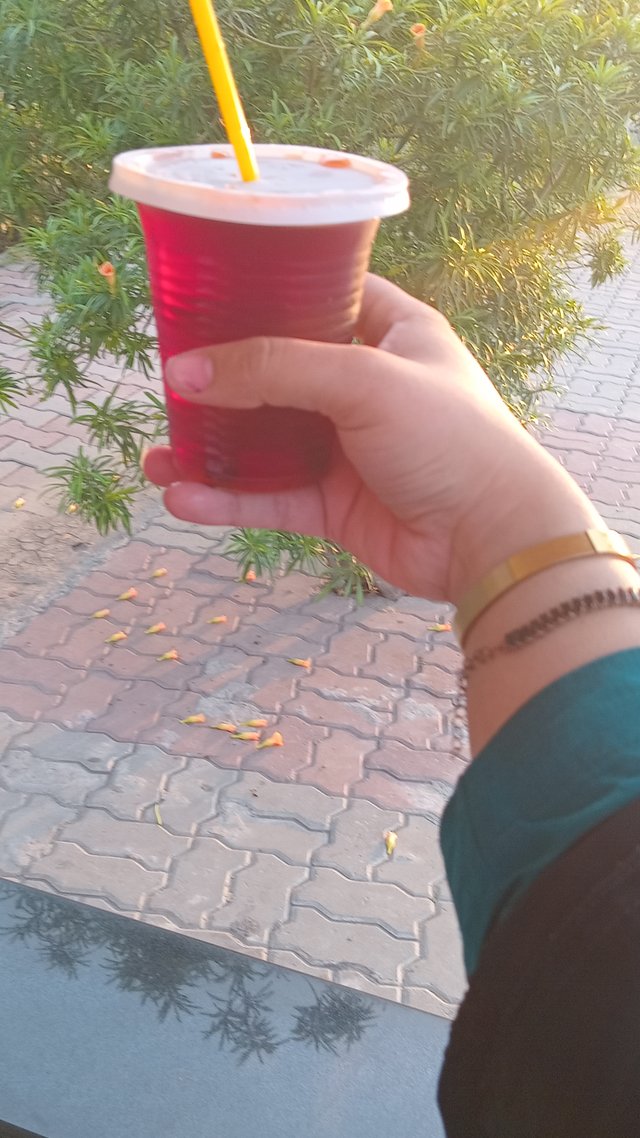 1000060996.jpg
