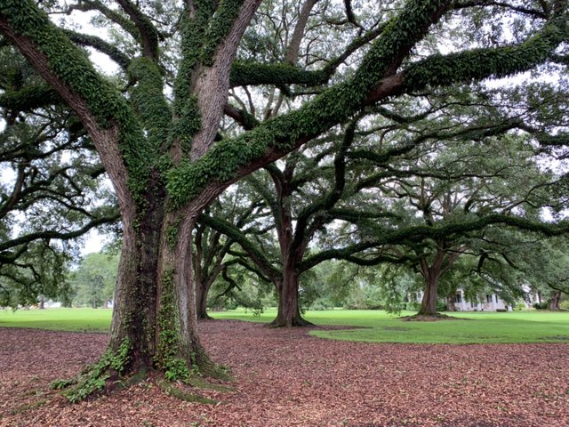 Whitney Plantation25.jpg