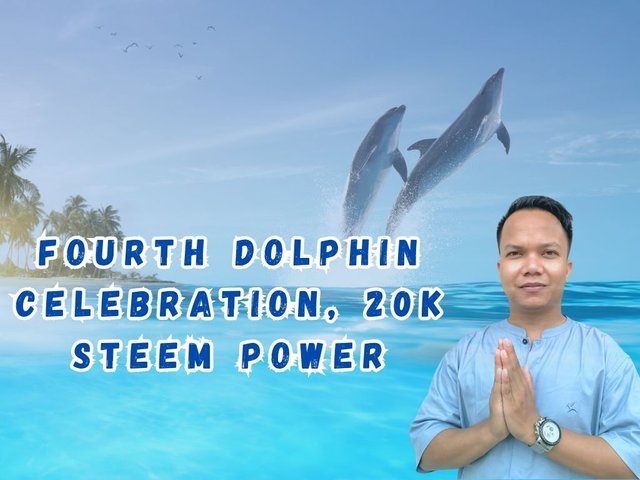 Dolphin.jpg