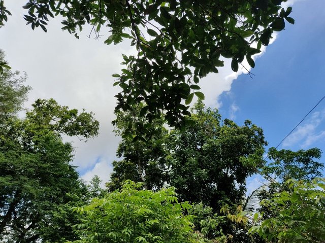 IMG_20250704_225253_607.jpg