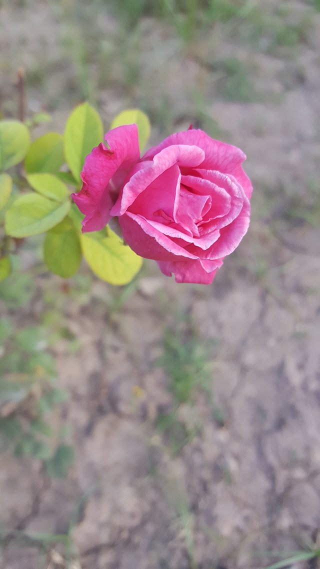 658CC9BD-9430-4733-A411-9CE1C384D119.jpeg