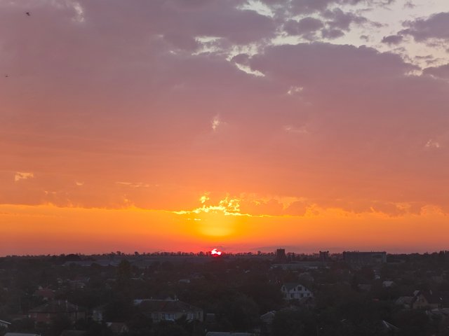 1000084709.jpg