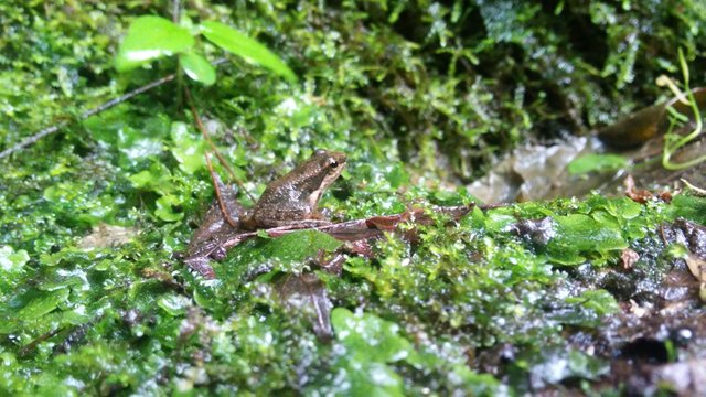 20180527_104823_HDR.jpg