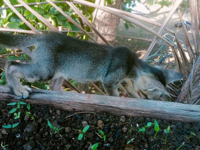 IMG20250610083158.jpg