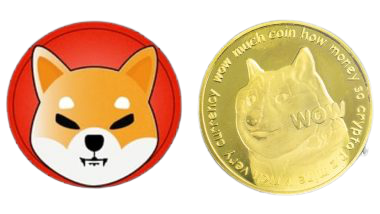 Shiba_Inu_Coin_2.png