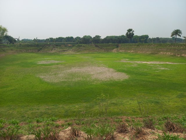 20250406_112225.jpg