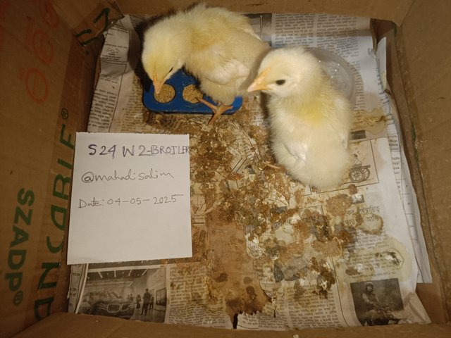 IMG20250504155033.jpg