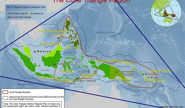 map-of-the-coral-triangle12.jpg