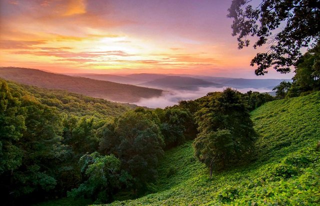 missouri-ozark-mountains-hillside-sunrise-800x500.jpeg