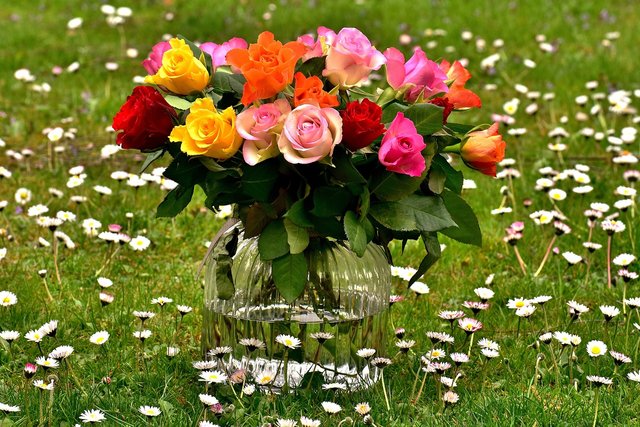 roses-2230531_1280.jpg