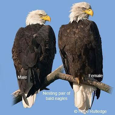 images (5).jpeg
