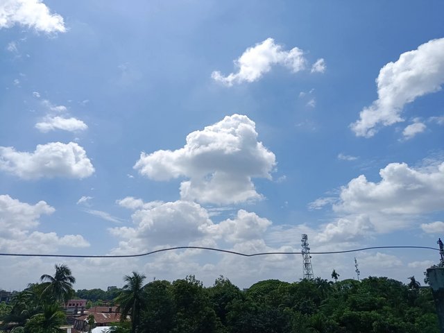4583.jpg