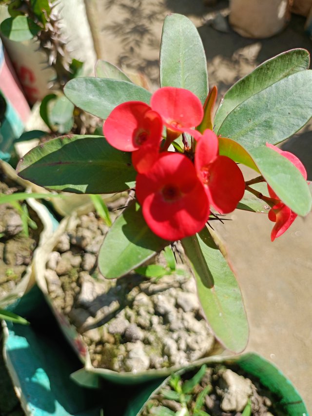IMG20241120111427.jpg