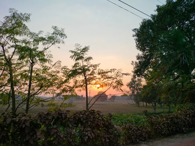 IMG20241127164711.jpg