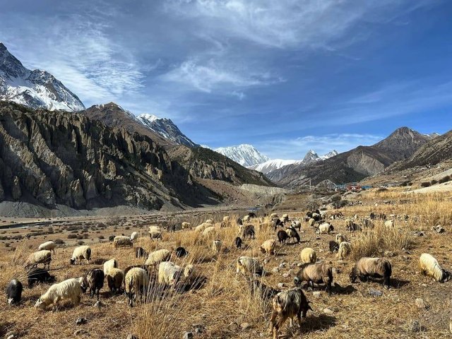backend.matnepal.jpg