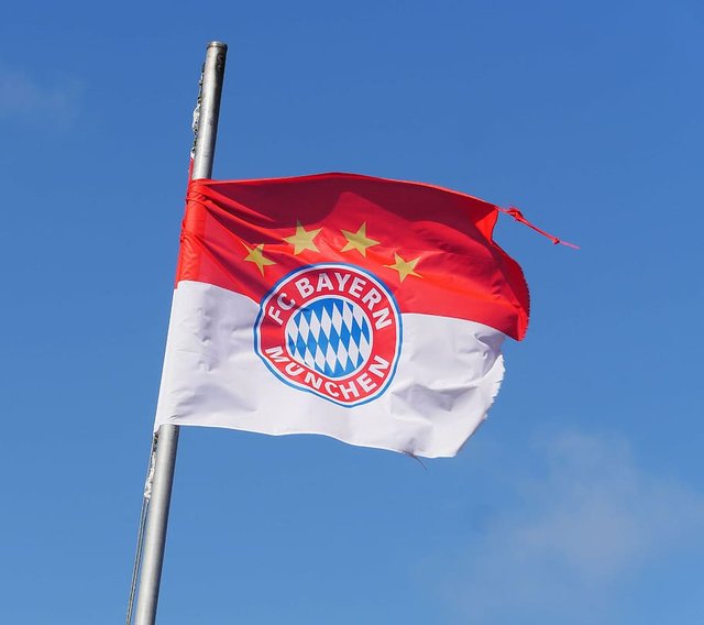 fc-bayern-munich-club-flag-sturmerprobt-bundesliga.jpg