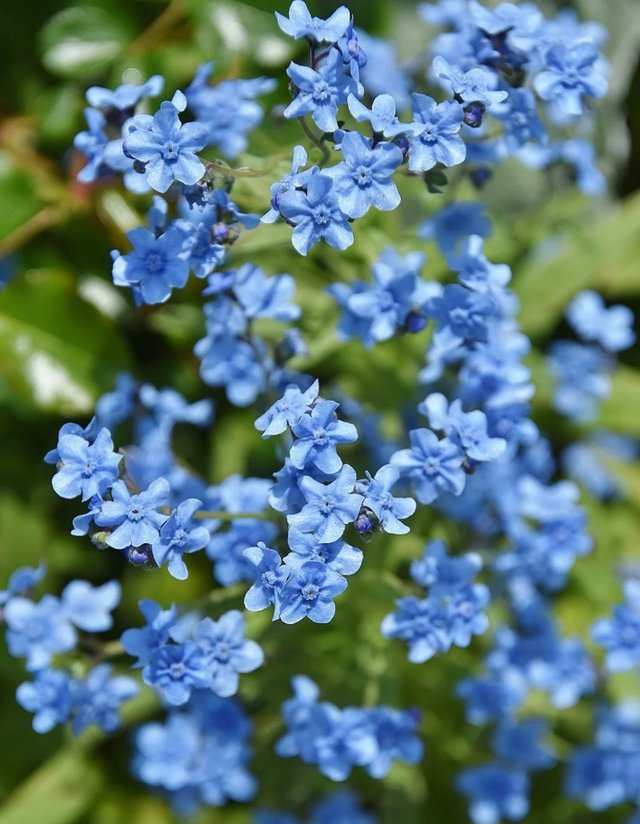 IMG_20250620_082746.jpg