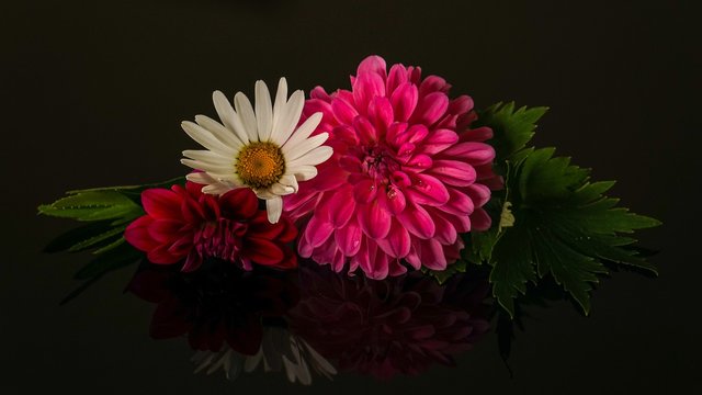 flower-arrangement-3499525_1280.jpg