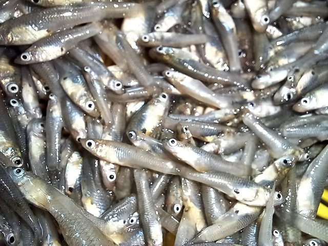 20230903_122820.jpg