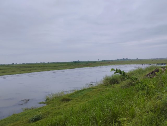 IMG_20250619_104013.jpg