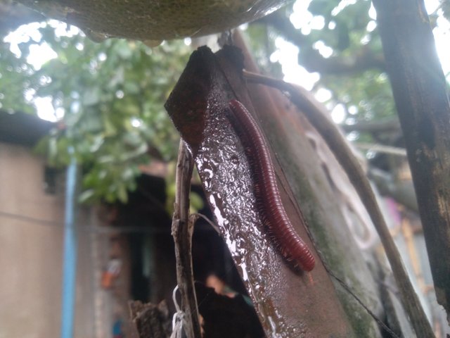 20250623_101749.jpg